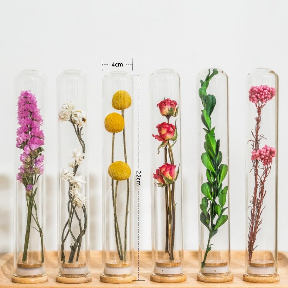 IWOWHERO ガラス試験管花瓶 植物繁殖用 5個パック 花用水管 エレガント
